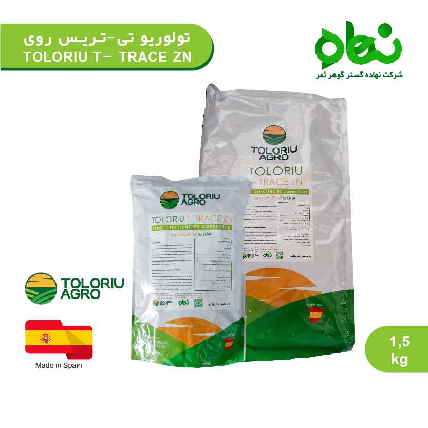 تولوریو تی - تریس روی